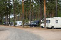 Camping Gräsmarksgården  -  Wohnwagenstellplatz und Wohnmobilstellplatz vom Campingplatz zwischen Bäumen