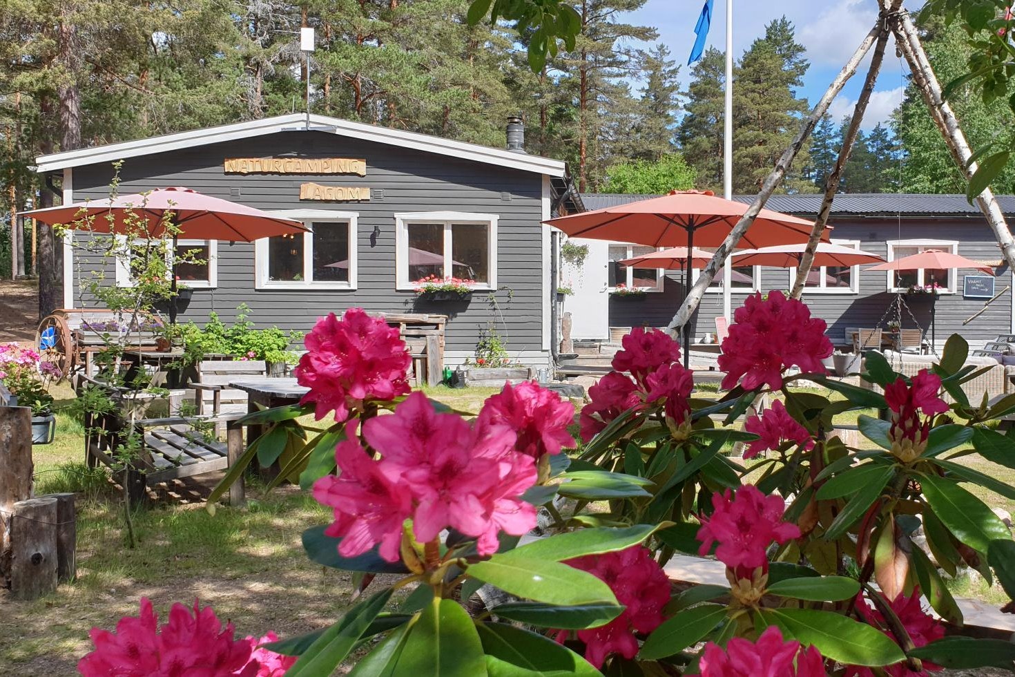 Naturcamping Lagom  Camping Gräsmarksgården  - Restaurant mit Terrasse auf dem Campingplatz