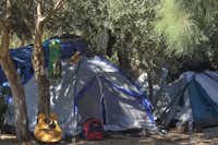Camping Grammeno - Zeltstellplatz mit Zelt im Schatten zwischen Bäumen