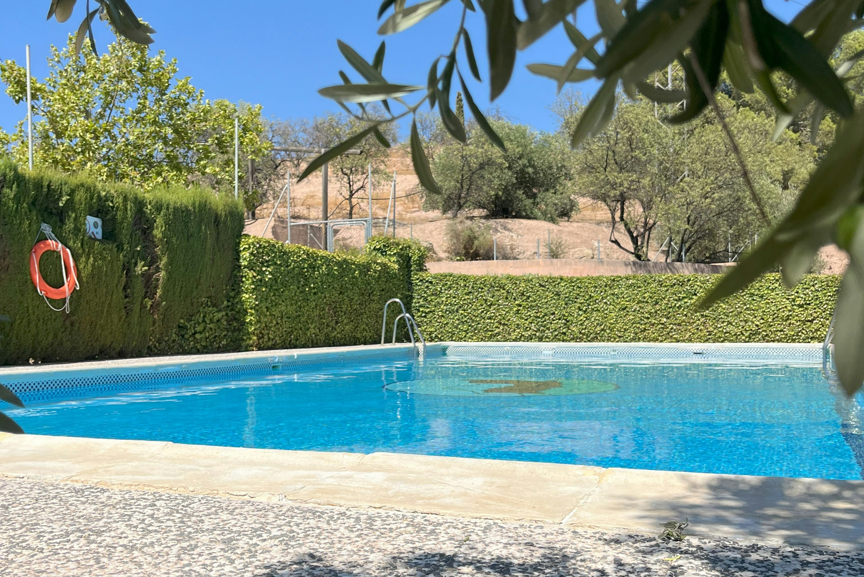 Blauer Camping-Pool mit Leiter, Hecken und Olivenbäumen im Hintergrund, Blick durch Blätter auf den Gartenbereich.