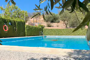 Blauer Camping-Pool mit Leiter, Hecken und Olivenbäumen im Hintergrund, Blick durch Blätter auf den Gartenbereich.