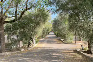 Camping Granada - Hauptstraße auf dem Campingplatz