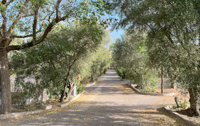 Camping Granada