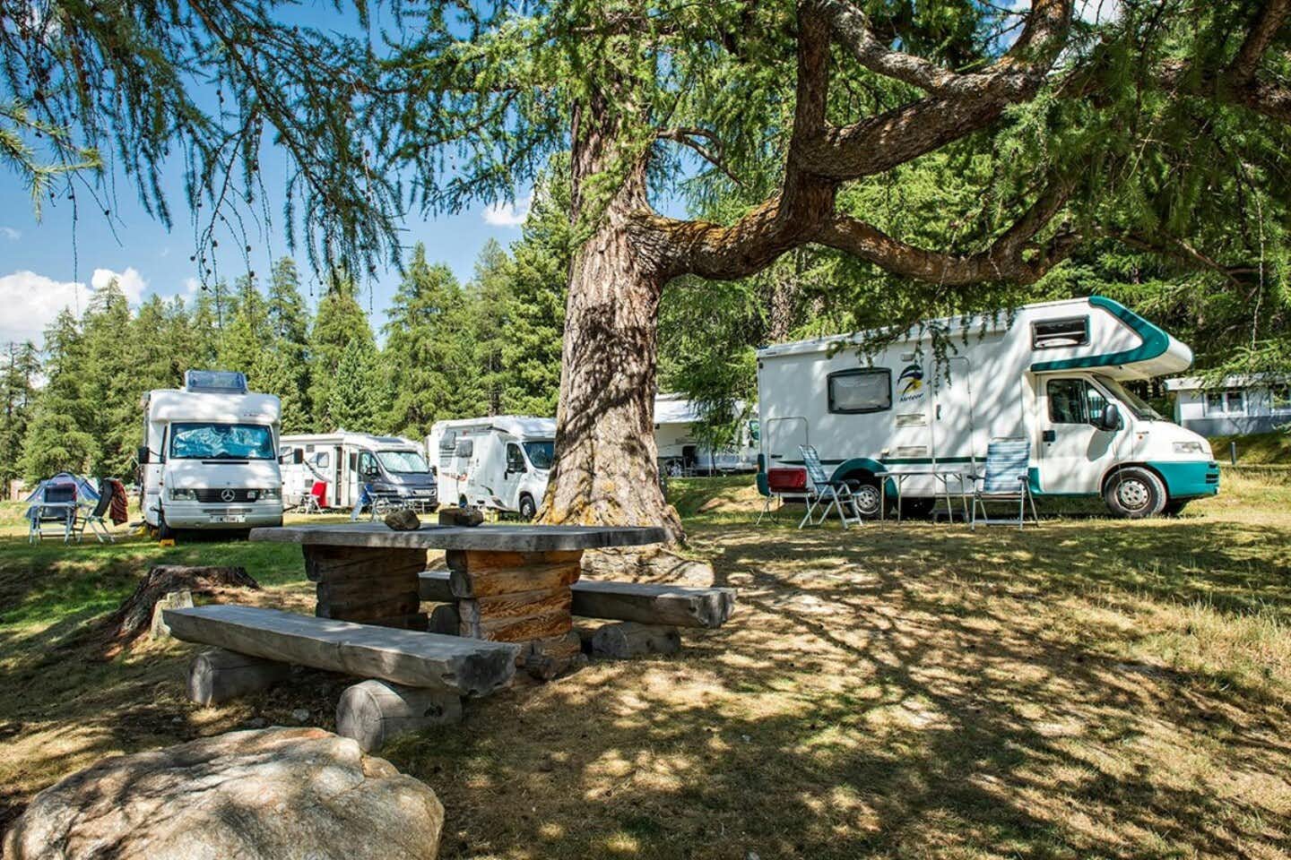 Camping Gravatscha  -  Wohnwagen- und Zeltstellplatz zwischen Bäumen auf dem Campingplatz