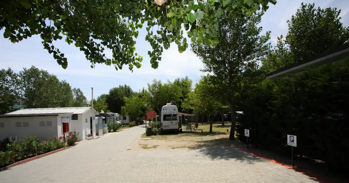 Camping Green