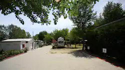 Camping Green