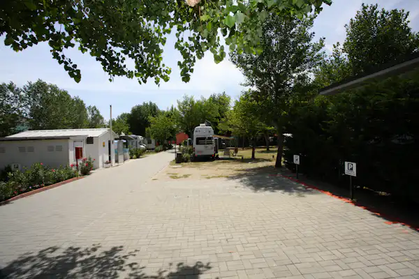 Camping Green