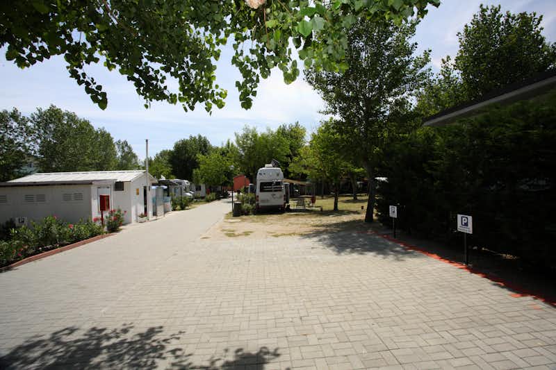 Camping Green - Strasse auf dem Campingplatz mit Wohnmobil auf einem Stellplatz