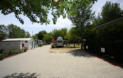 Camping Green
