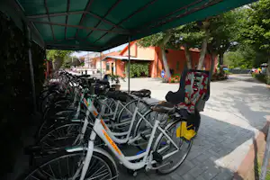 Camping Green - mietbare Fahrräder auf dem Campingplatz