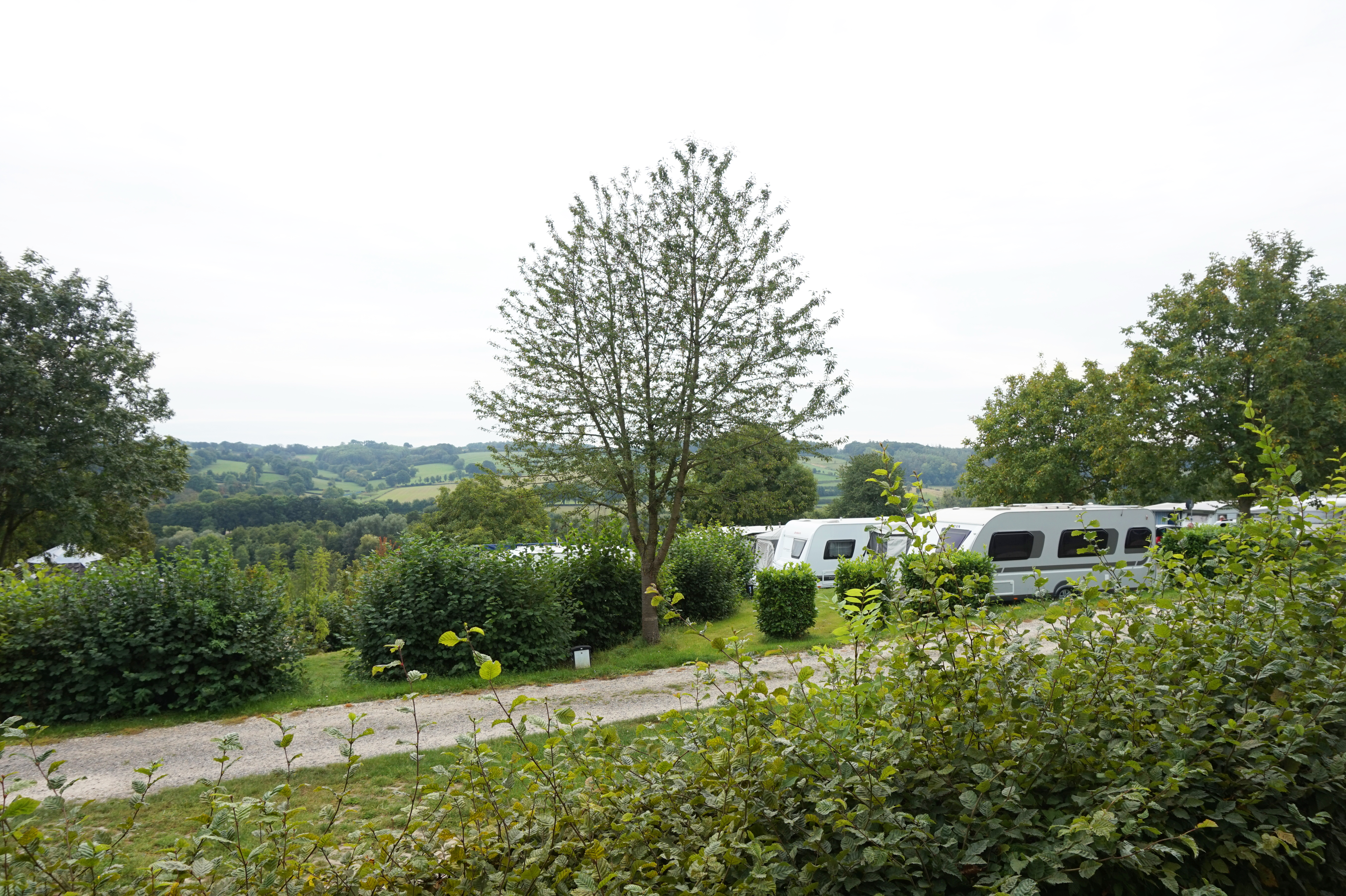 Wohnmobile auf einem Campingplatz im Grünen, mit Hecken, Kiesweg und Blick auf die hügelige Landschaft.