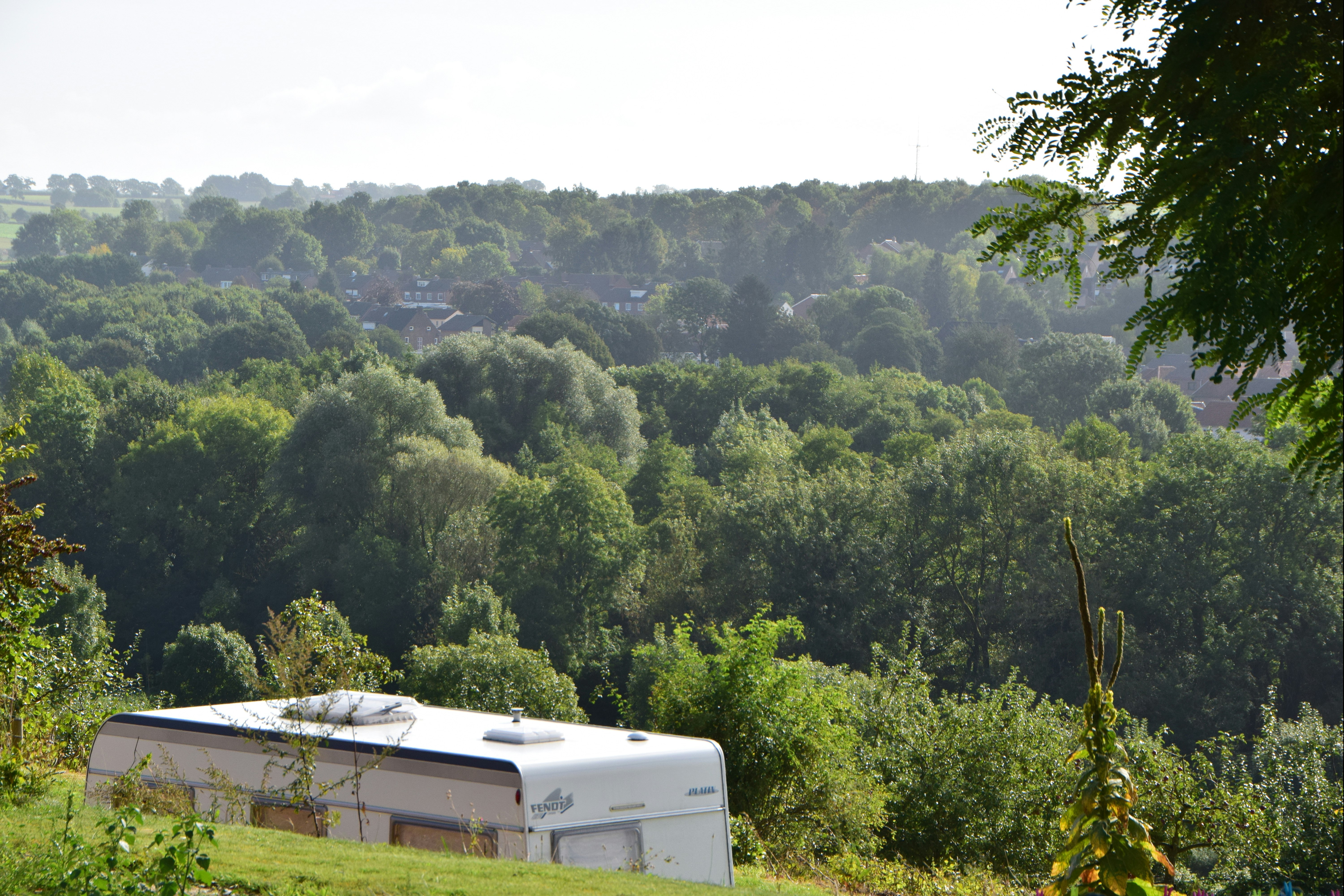 Camping Grensheuvel - Standplätze im Grünen auf dem Campingplatz