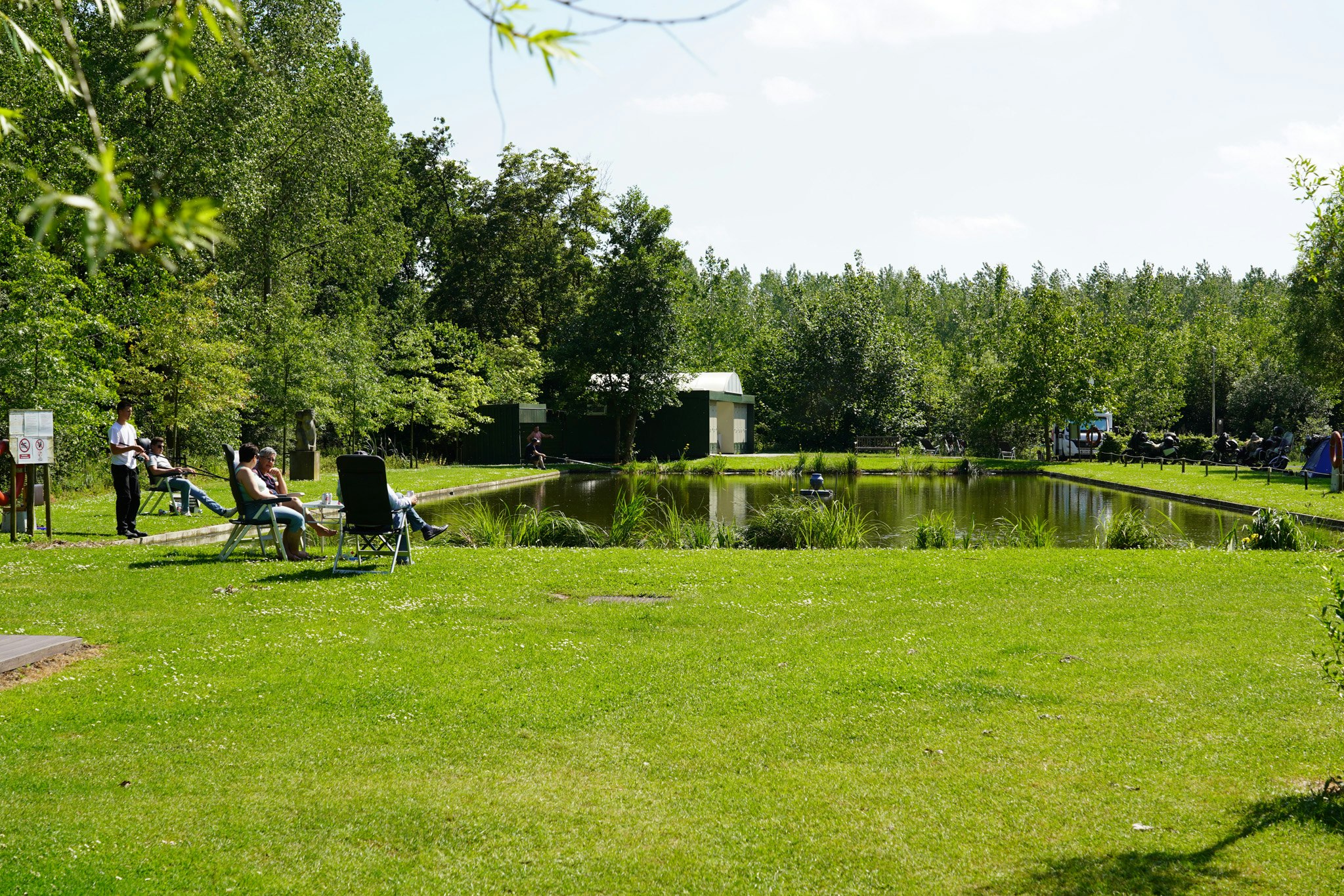 Camping Groeneveld - Wiese mit See auf dem Campingplatz