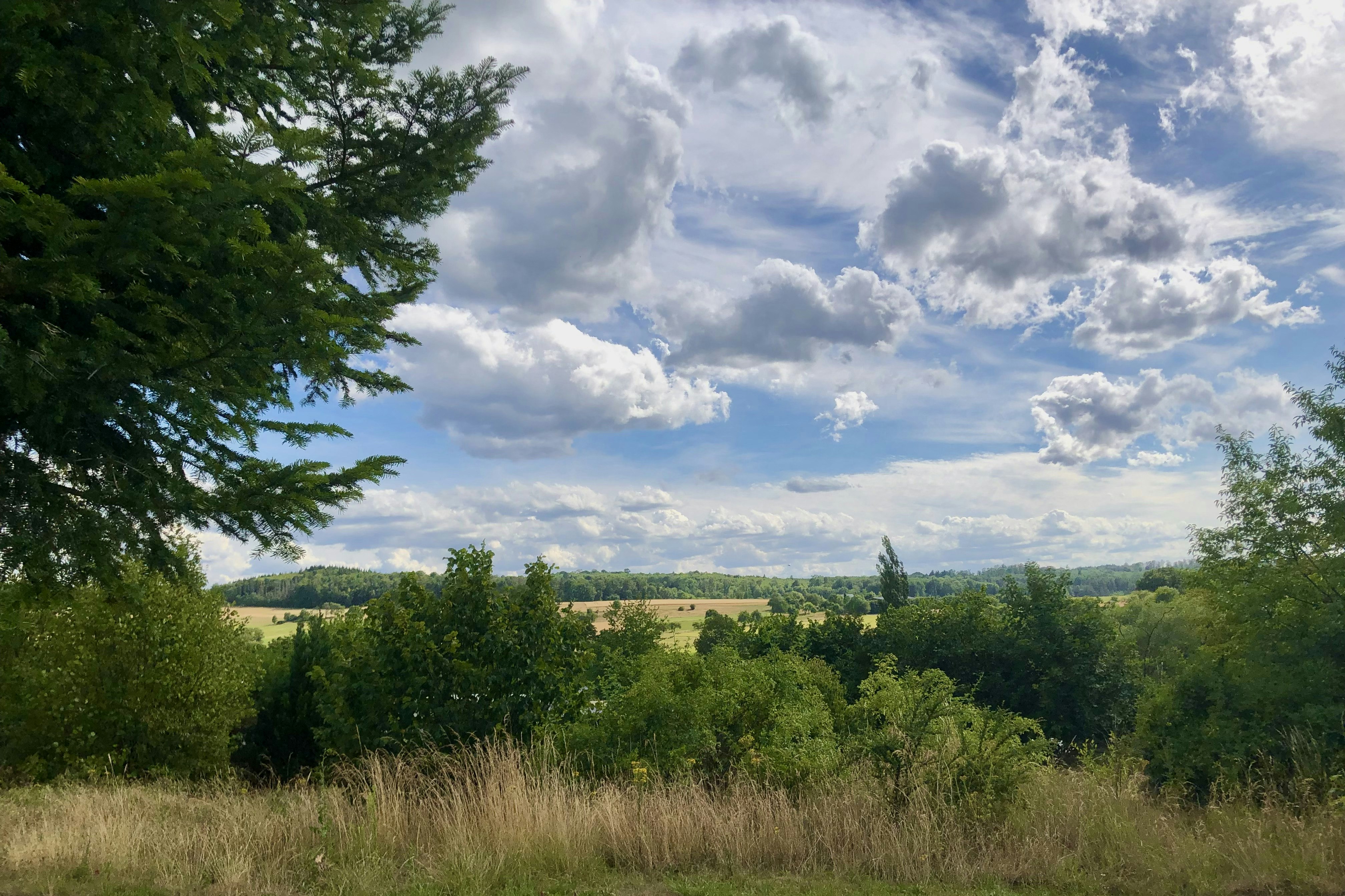 Camping Groß-Eichen - Blick in die Natur in der Umgebung des Campingplatzes