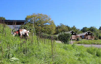 Camping Groß-Eichen