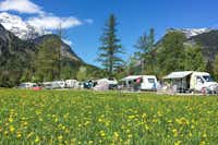 Camping Grubhof - Wohnmobil- und  Wohnwagenstellplätze auf der Wiese mit Blick auf die Berge