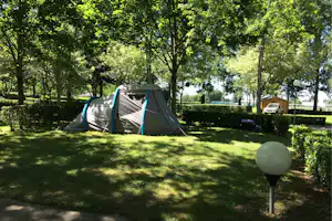 Campingzelt mit blauem Gestänge auf einer Wiese, umgeben von Hecken und Bäumen, daneben ein Holzschuppen und ein Auto.