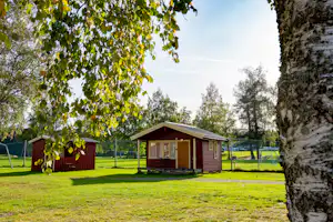 Holz-Bungalow auf einem grünen Campingplatz, im Hintergrund Wiese und Bäume, davor ein Baumstamm im Vordergrund.
