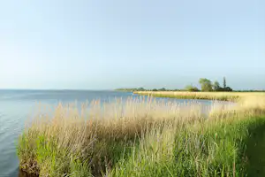 Camping Guldborg - Zugang zum Meer in der Nähe vom Campingplatz