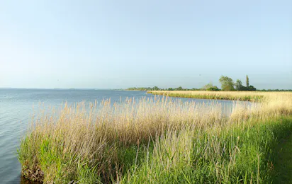 Guldborg Camping