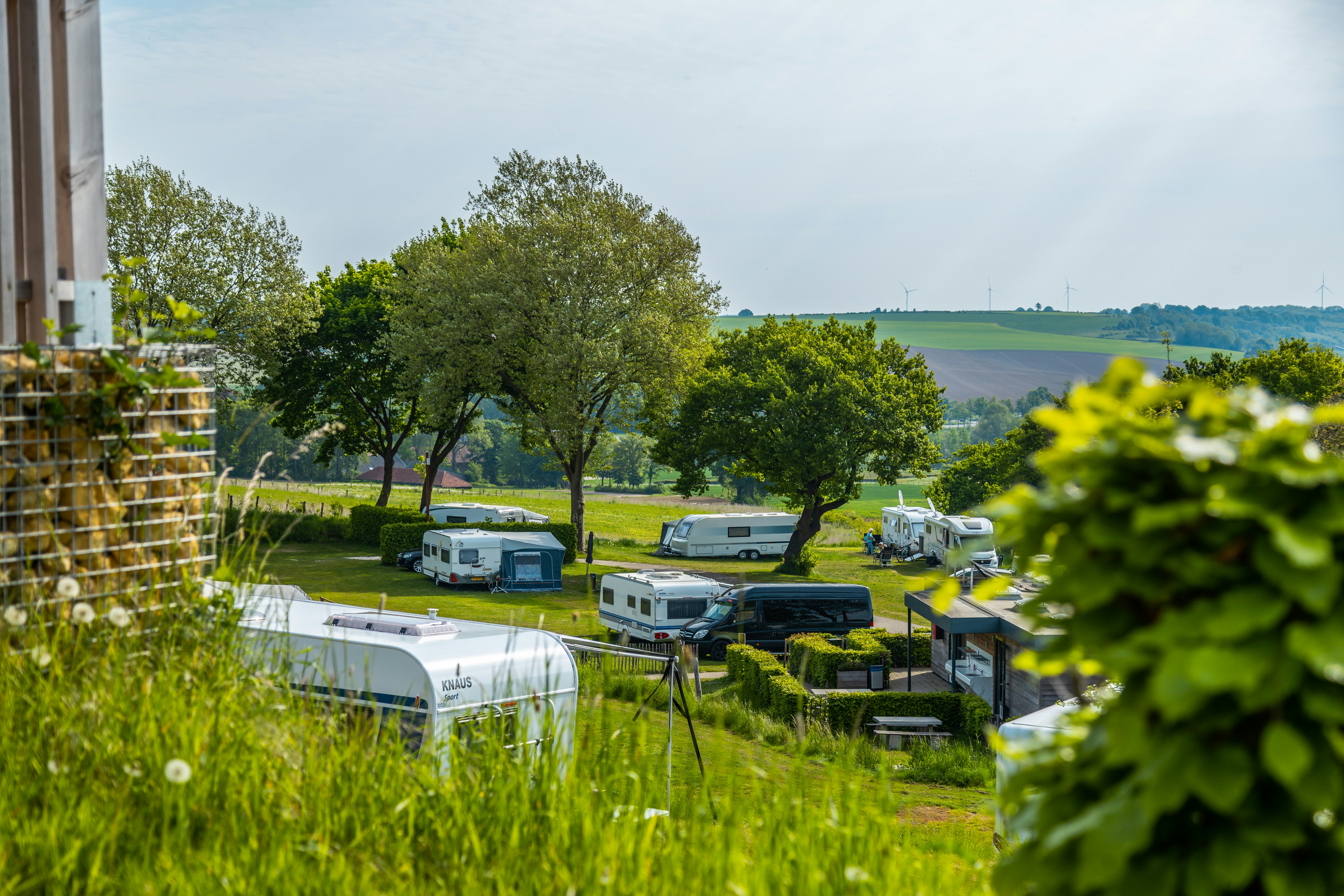 EuroParcs Gulperberg  Camping Gulperberg Panorama - Blick auf die Stellplätze im Grünen