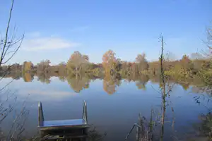 Camping Gutshof Donauried - Badesee auf dem Campingplatz
