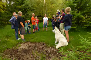Camping Gyvelborg - Ausflüge zum Bauernhof mit Wandern in der Nähe vom Campingplatz