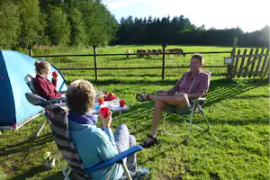 Camping Gyvelborg - Entspannte Atmosphäre auf dem Zeltplatz mit Blick auf Biobauernhof