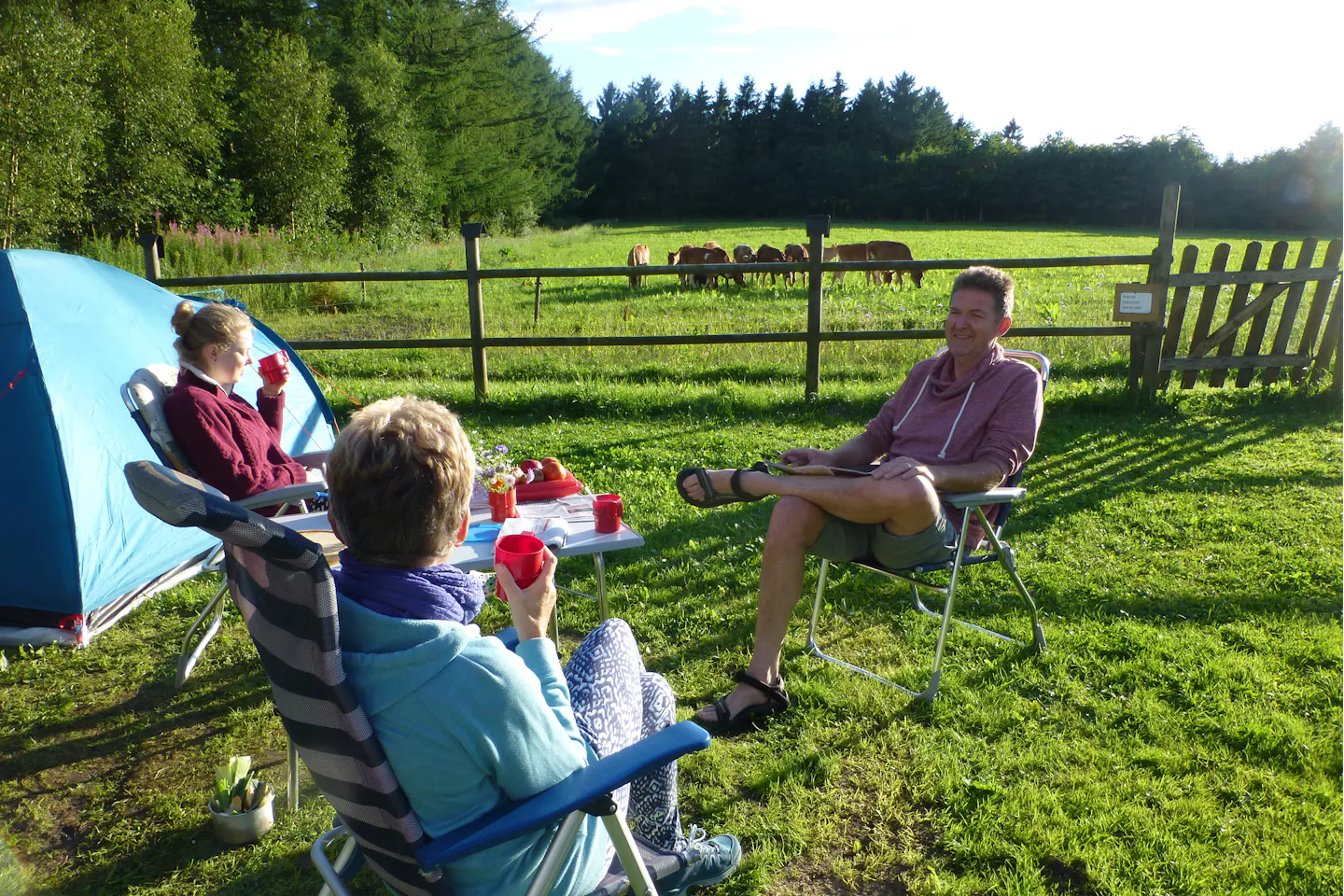 Gyvelborg Økocamping & Gårdbutik