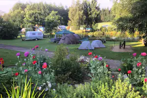 Campingwiese mit mehreren Zelten, Wohnwagen und bunten Blumenbeeten am Rand, umgeben von Bäumen und einem Weg.