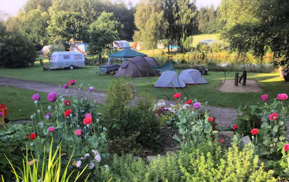 Gyvelborg Økocamping & Gårdbutik