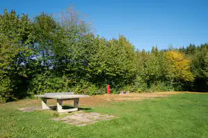 Picknicktisch auf einer Wiese am Campingplatz, umgeben von Bäumen und Sträuchern, mit Weg und Rasenfläche im Hintergrund.
