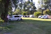 Camping Hana -  Campingbereich für Zelte und Wohnwagen im Schatten der Bäume