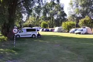 Camping Hana - Campingbereich für Zelte und Wohnwagen im Schatten der Bäume