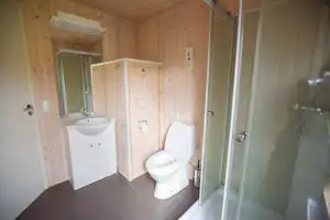 Modernes Badezimmer mit Holzverkleidung, Waschbecken, Toilette und Dusche mit Glastür.