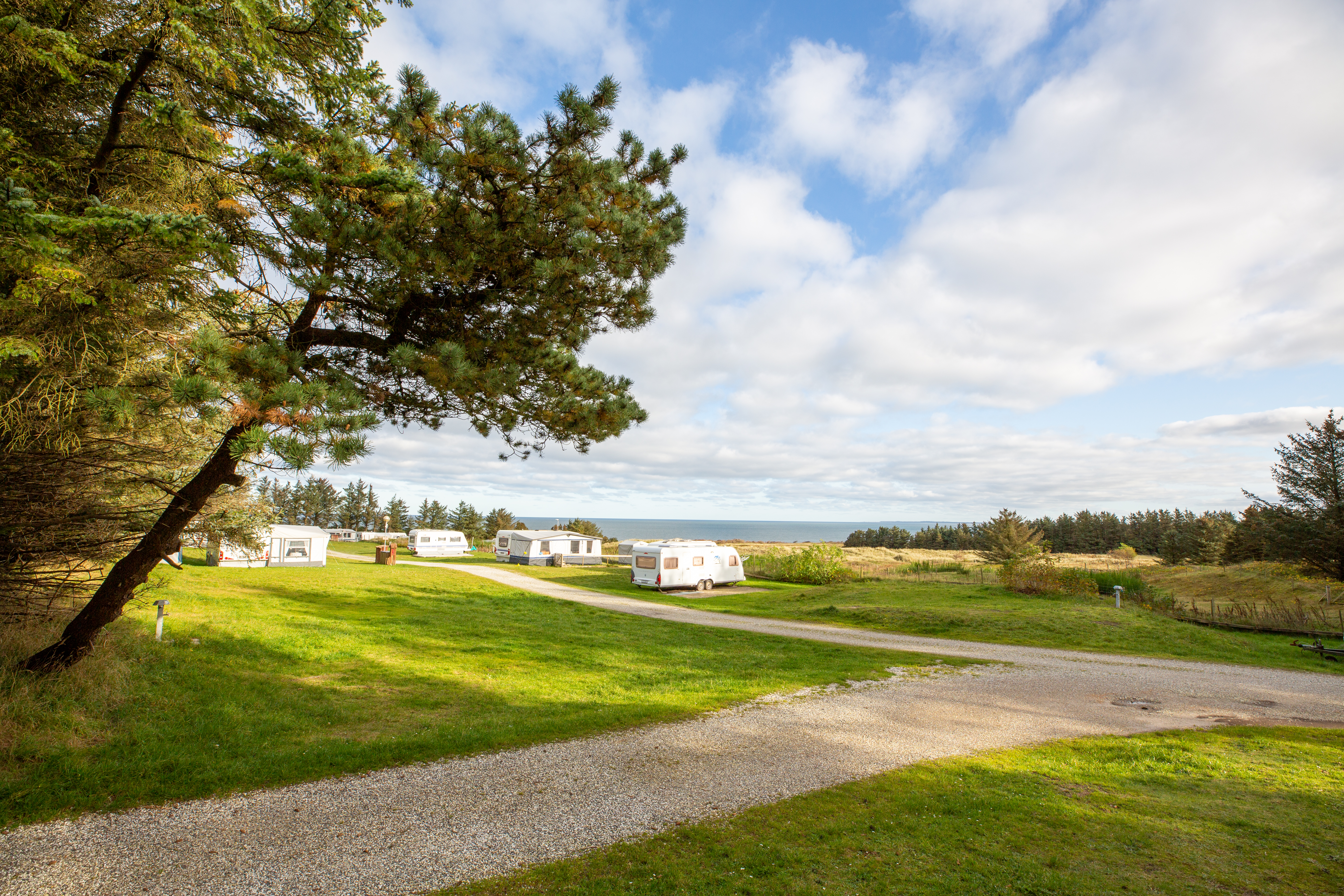 Camping Hanstholm - Standplatz.jpg