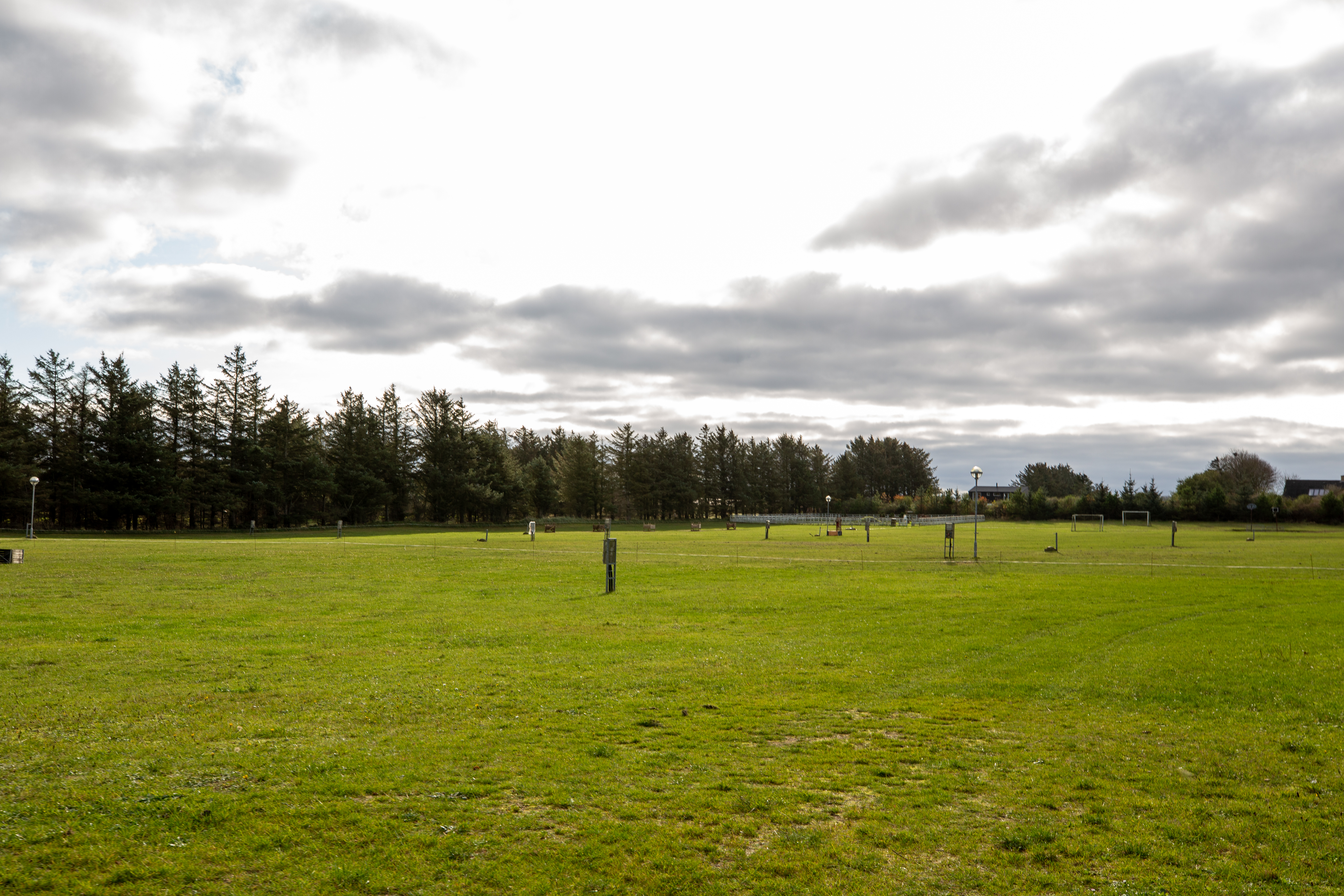 Camping Hanstholm - Zeltwiese.jpg