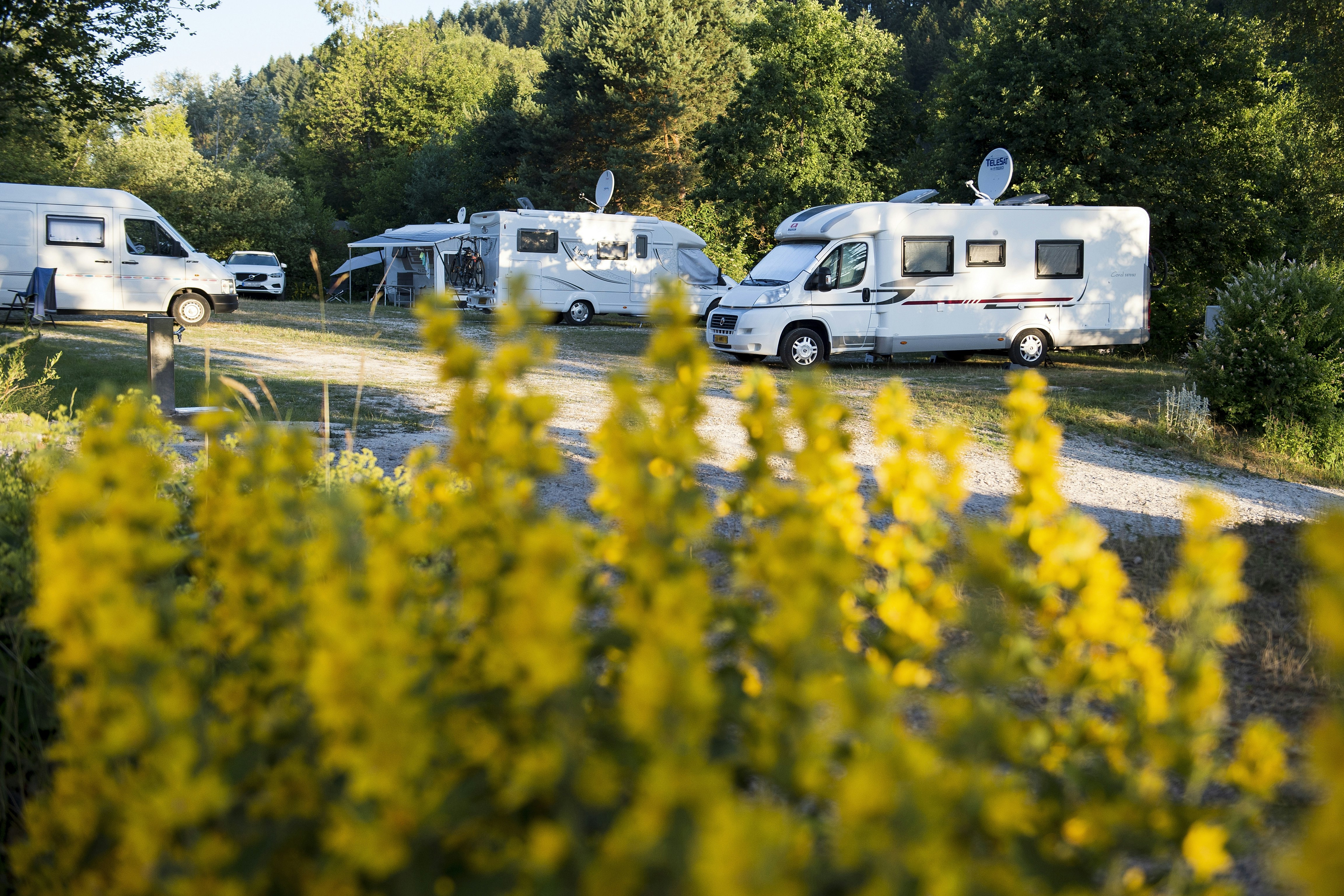 Camping Harfenmühle - Blick auf Wohnwagenstellplätze im Schatten der Bäume auf dem Campingplatz