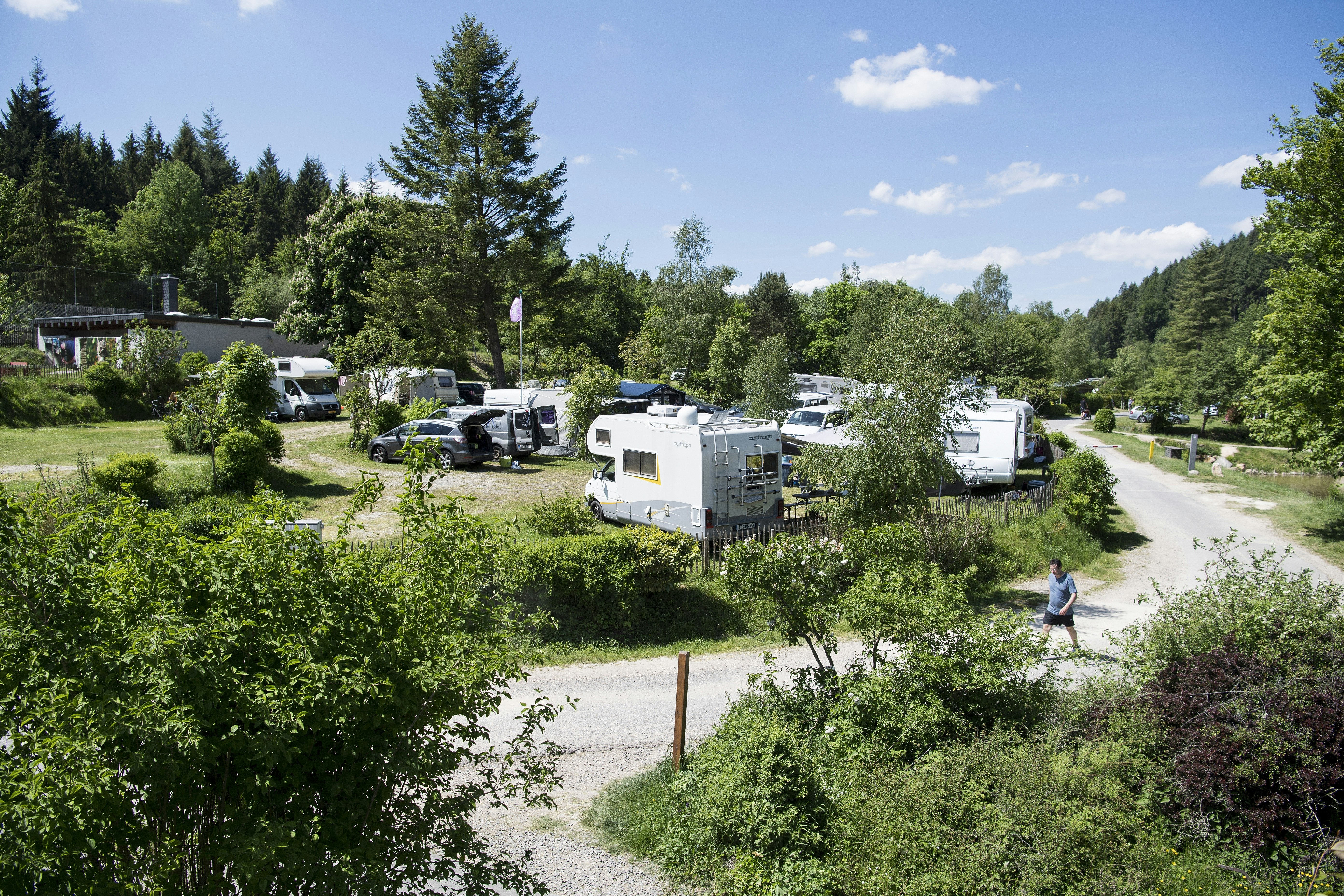 Camping Harfenmühle - Zelt- und Wohnwagenstellplätze im Grünen auf dem Campingplatz
