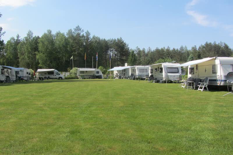 Camping Harmonie  -  Stellplatz vom Campingplatz auf grüner Wiese