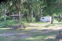 Camping Harmonie  -  Wohnwagen- und Zeltstellplatz und Picknicktisch vom Campingplatz zwischen Bäumen