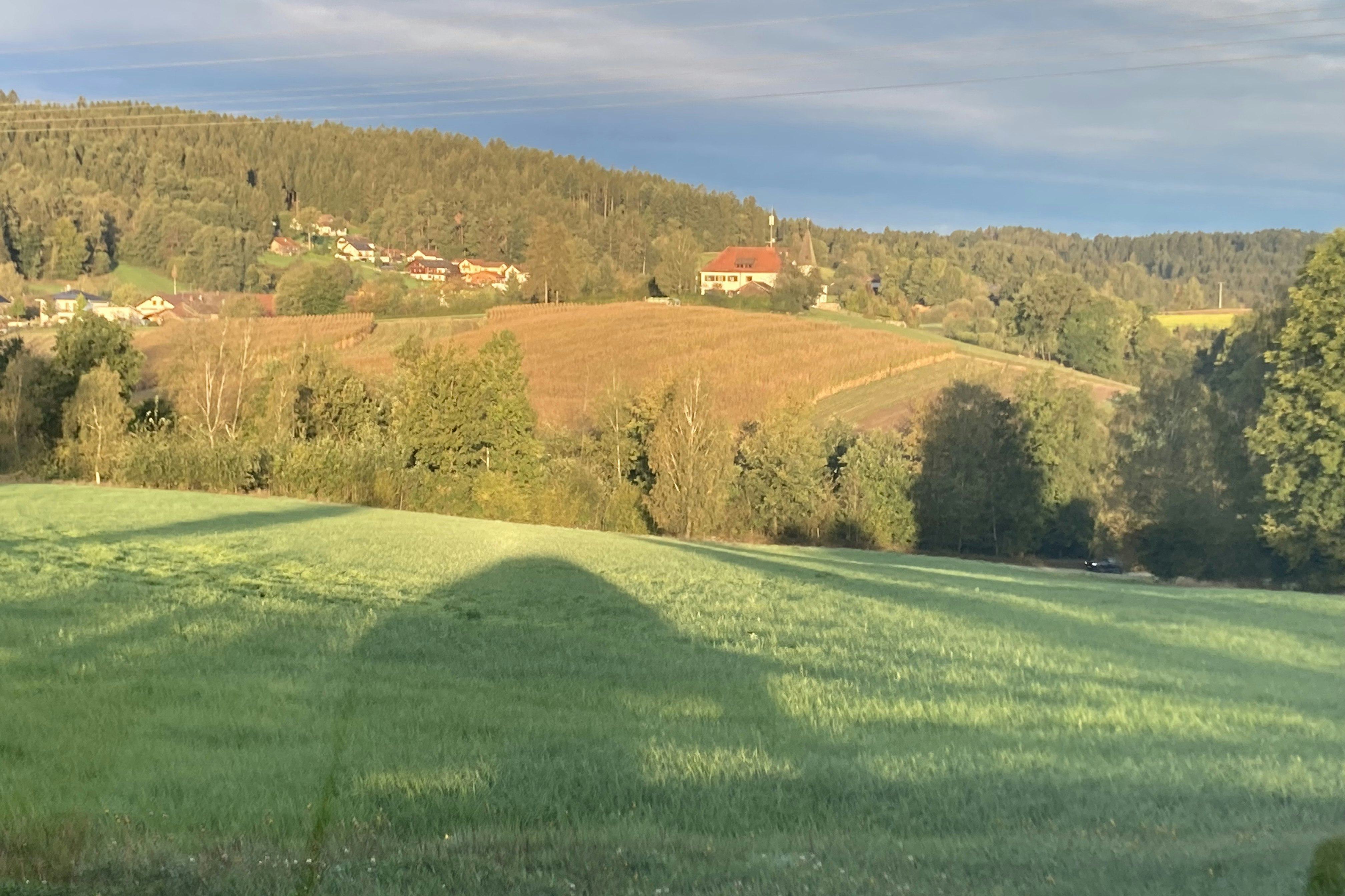 Camping Hastreiter - Blick in die Umgebung des Campingplatzes