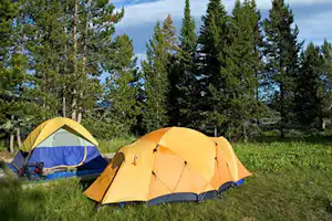 Camping Haute Gruyère - Zeltstellplatz im Grünen auf dem Campingplatz