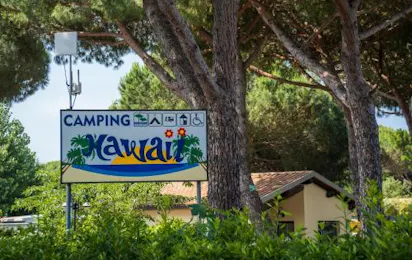 Camping Hawaii