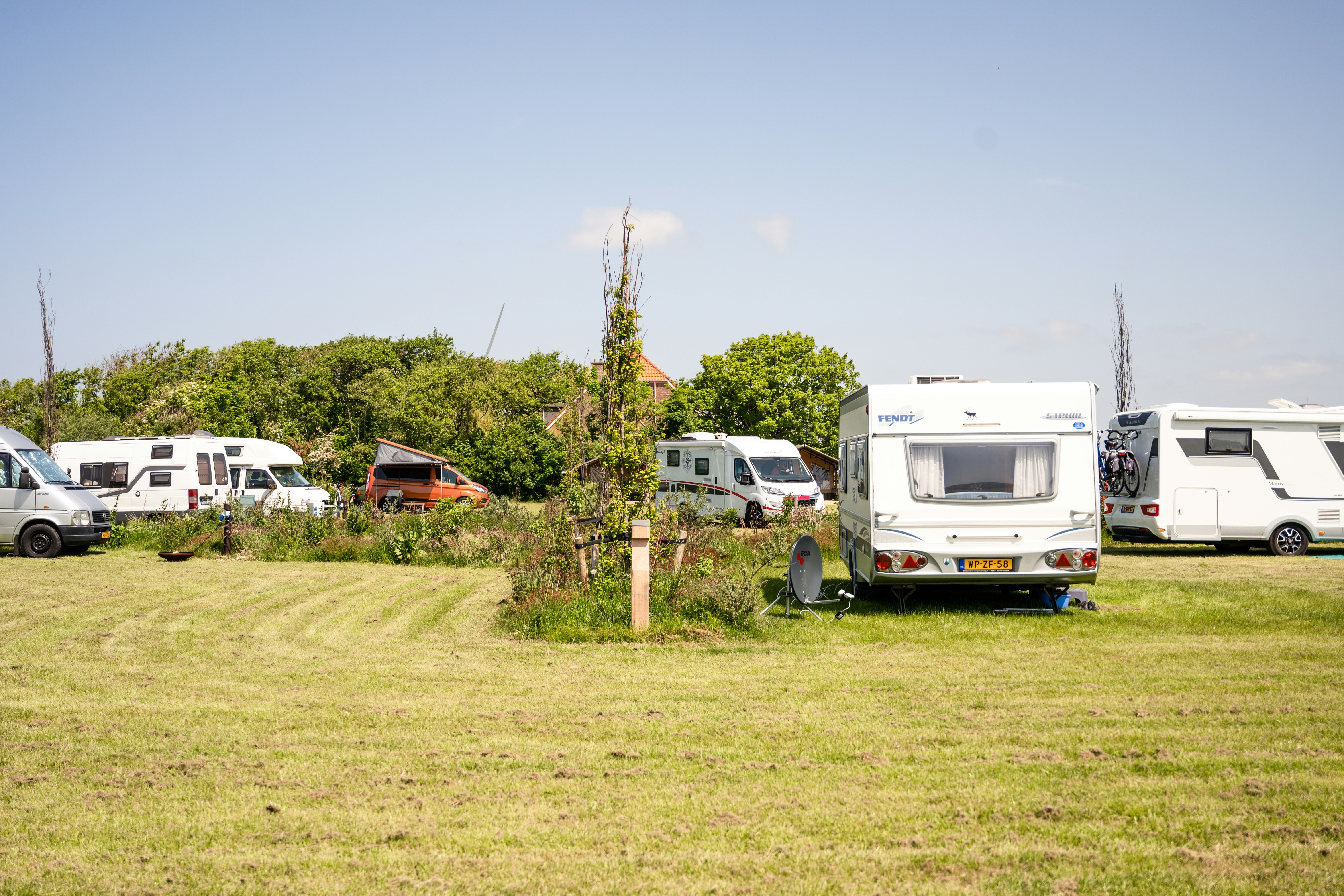 Wohnmobile auf einer Campingwiese, dazwischen Bäume und Sträucher, im Hintergrund weitere Fahrzeuge und ein weißes Wohnmobil.