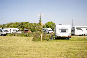 Wohnmobile auf einer Campingwiese, dazwischen Bäume und Sträucher, im Hintergrund weitere Fahrzeuge und ein weißes Wohnmobil.