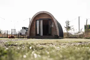 Rundes Holz-Glampinghaus mit großen Fenstern auf einem Campingplatz, im Vordergrund Gras und ein Weg.