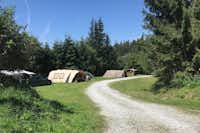 Camping Hebalm - Zeltplätze auf der Wiese