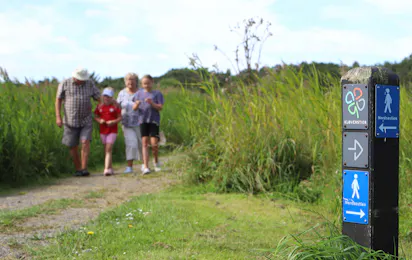 Hedebo Strand Camping