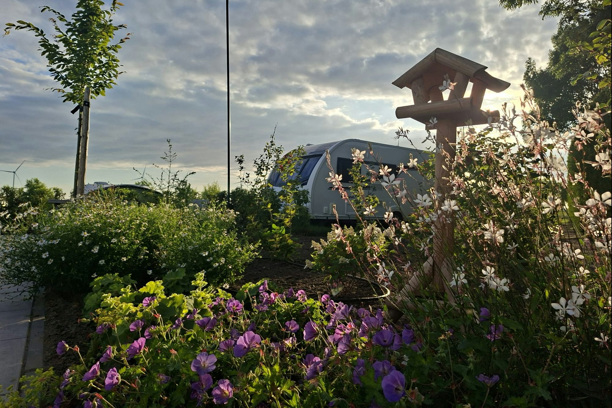 Camping Heerlijk Plekkie - Blumengarten neben den Standplätzen
